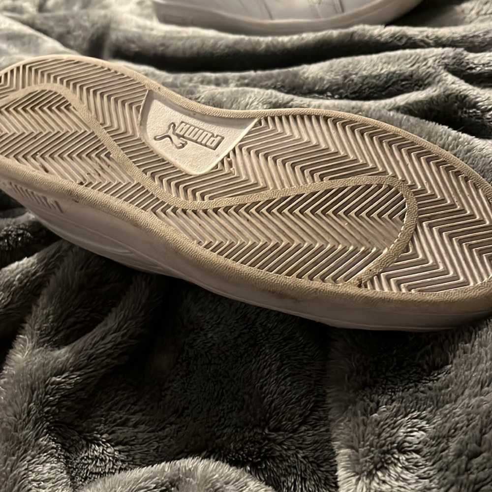 Pumas - Picture 2 of 5